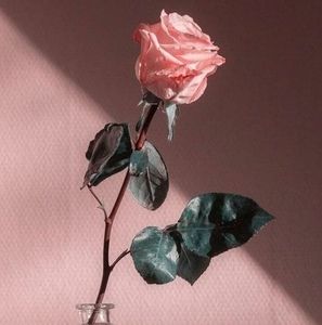 Meet your Posher, Zanny